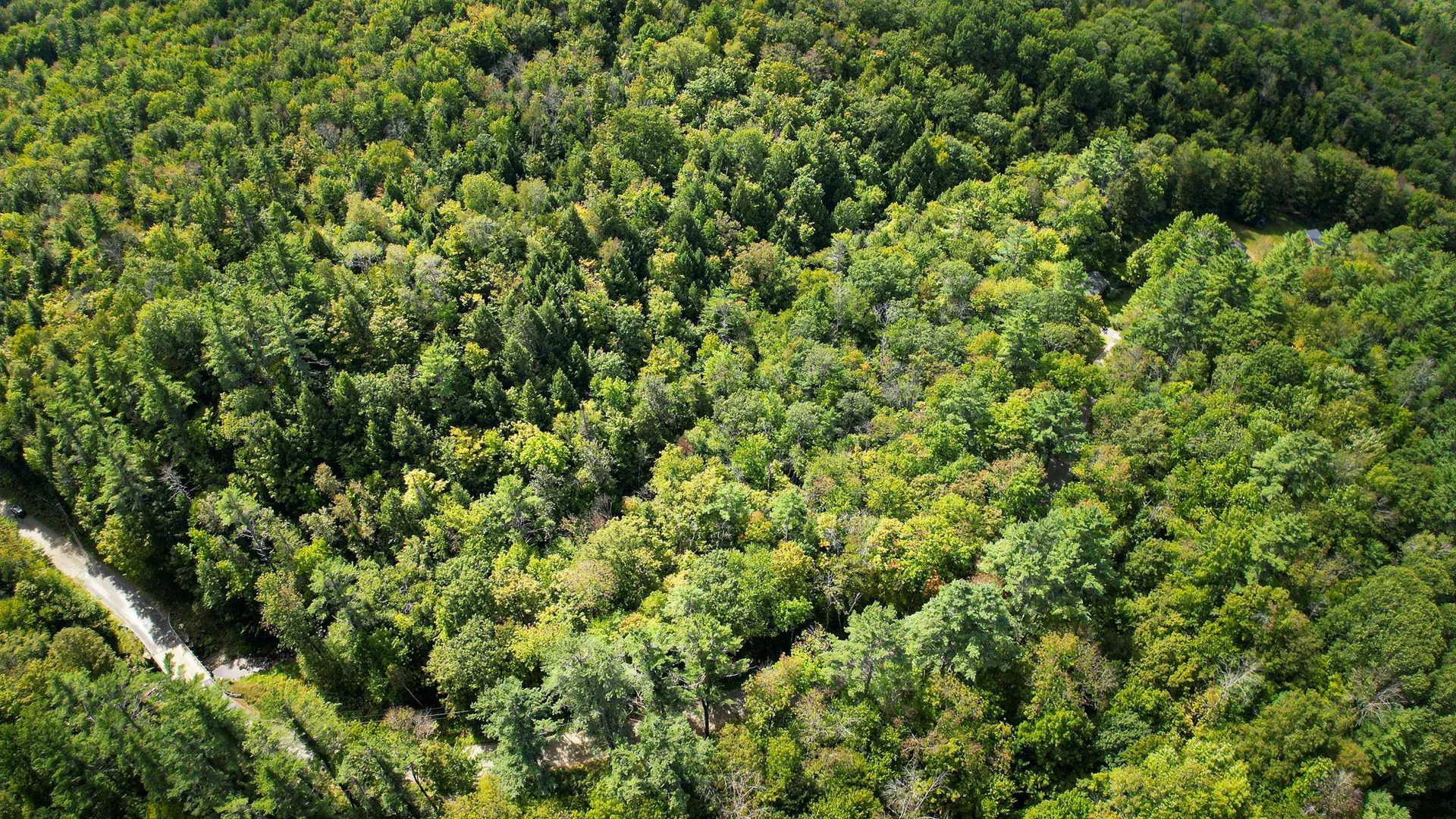 0 Camp Road Plainfield NH 03781