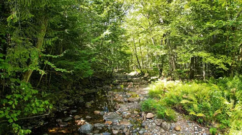 0 Camp Road Plainfield NH 03781