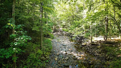 0 Camp Road Plainfield NH 03781