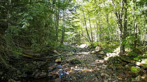 0 Camp Road Plainfield NH 03781