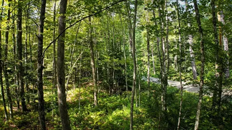 0 Camp Road Plainfield NH 03781