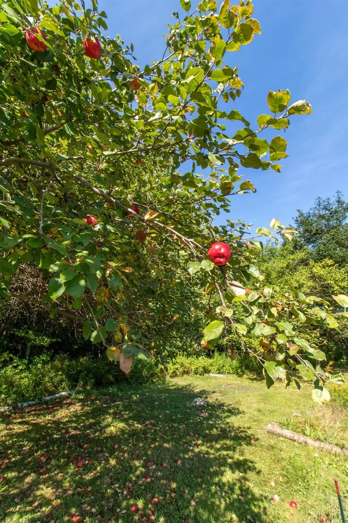 3041 Cross Road Jay VT 05859