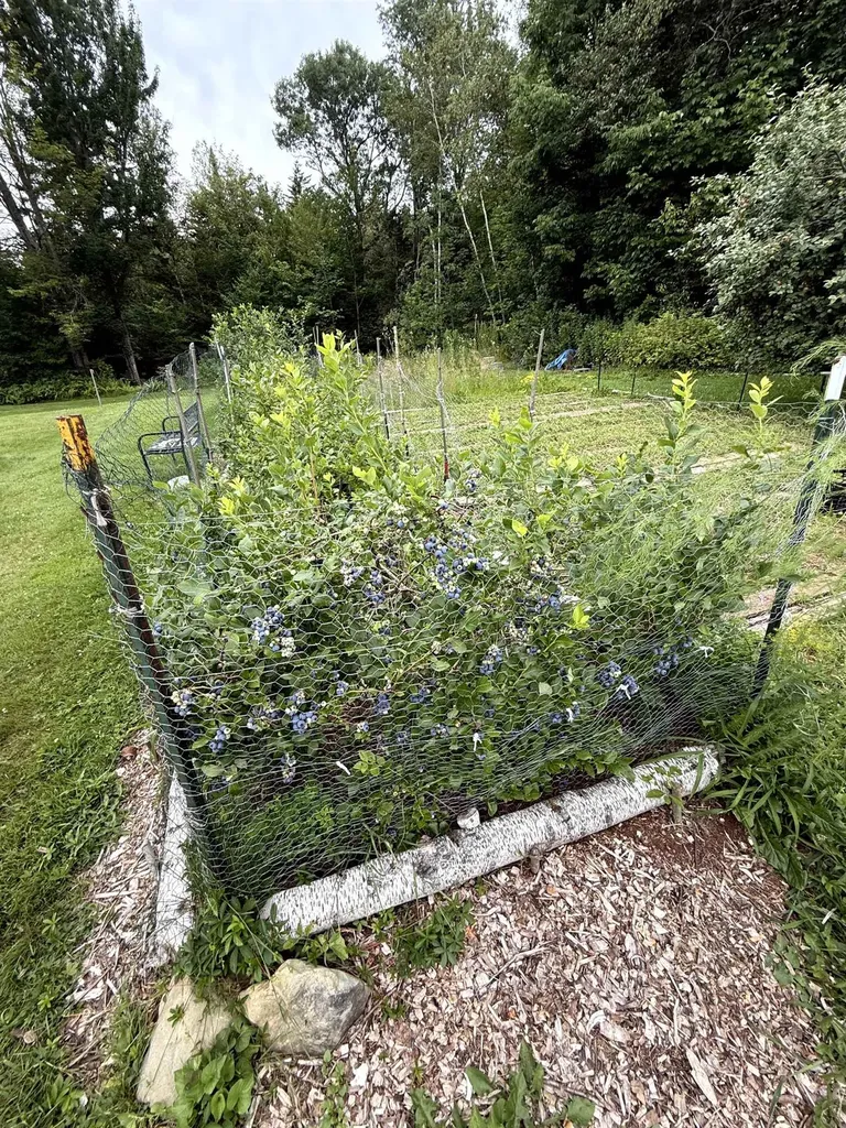 3041 Cross Road Jay VT 05859