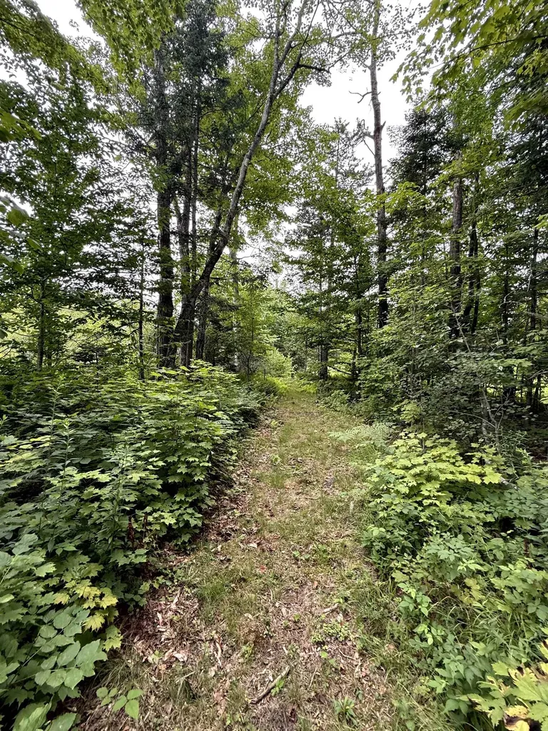 3041 Cross Road Jay VT 05859