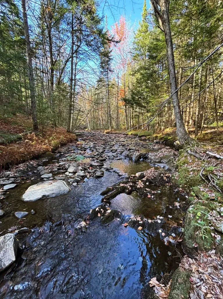 3041 Cross Road Jay VT 05859