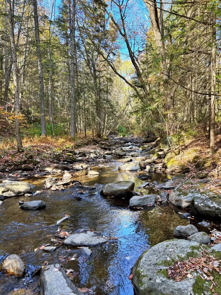 3041 Cross Road Jay VT 05859