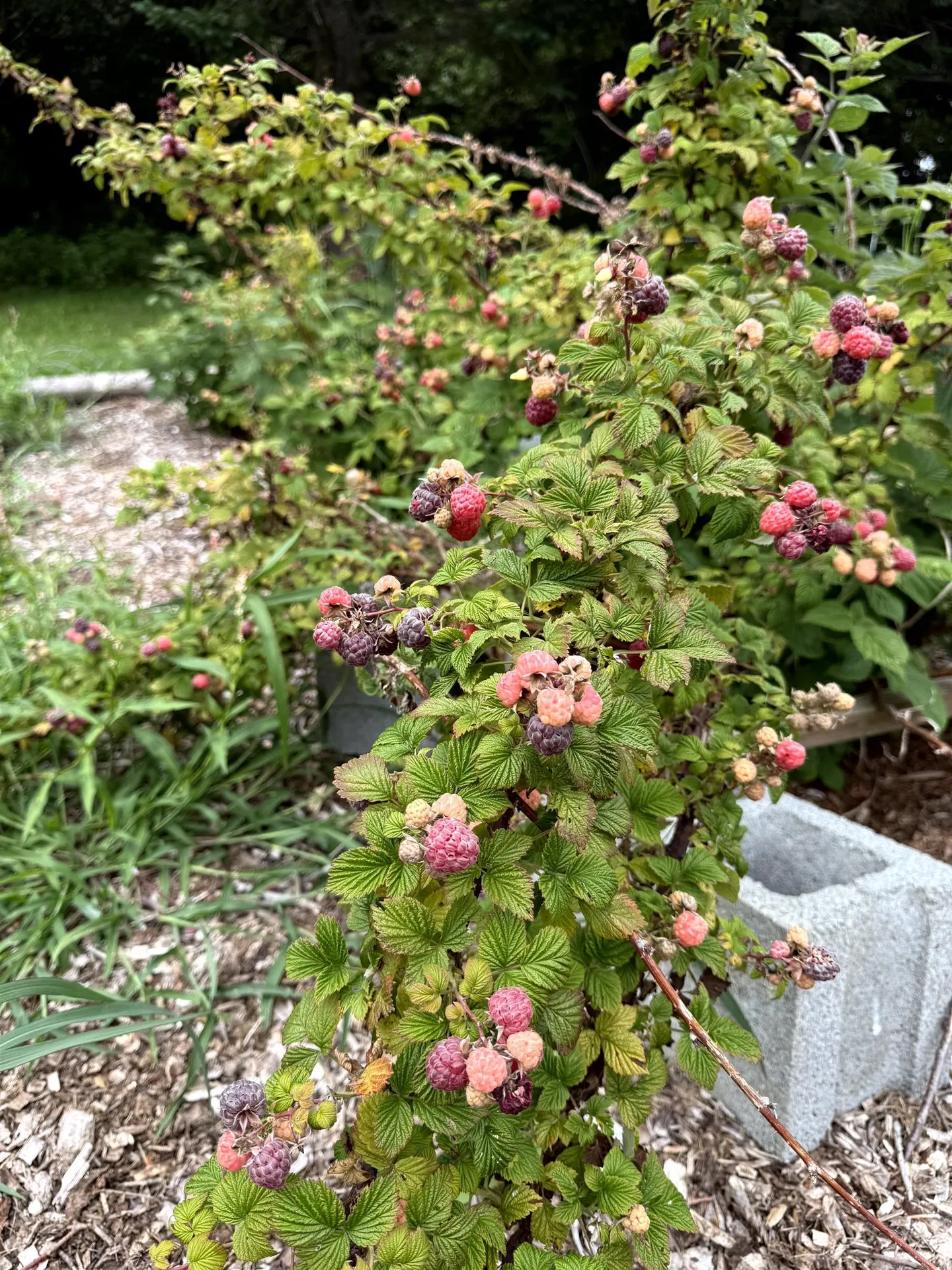 3041 Cross Road Jay VT 05859