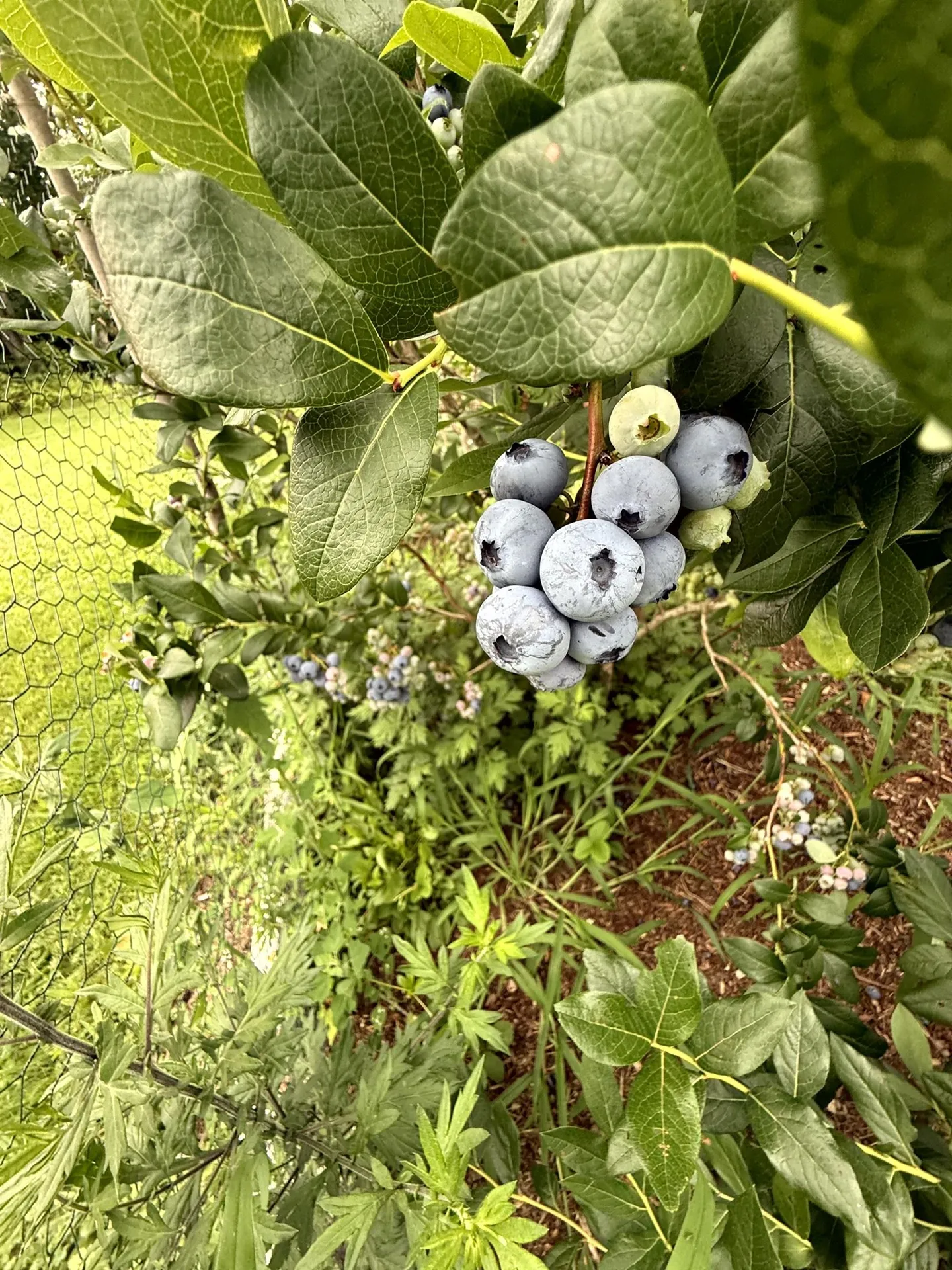 3041 Cross Road Jay VT 05859