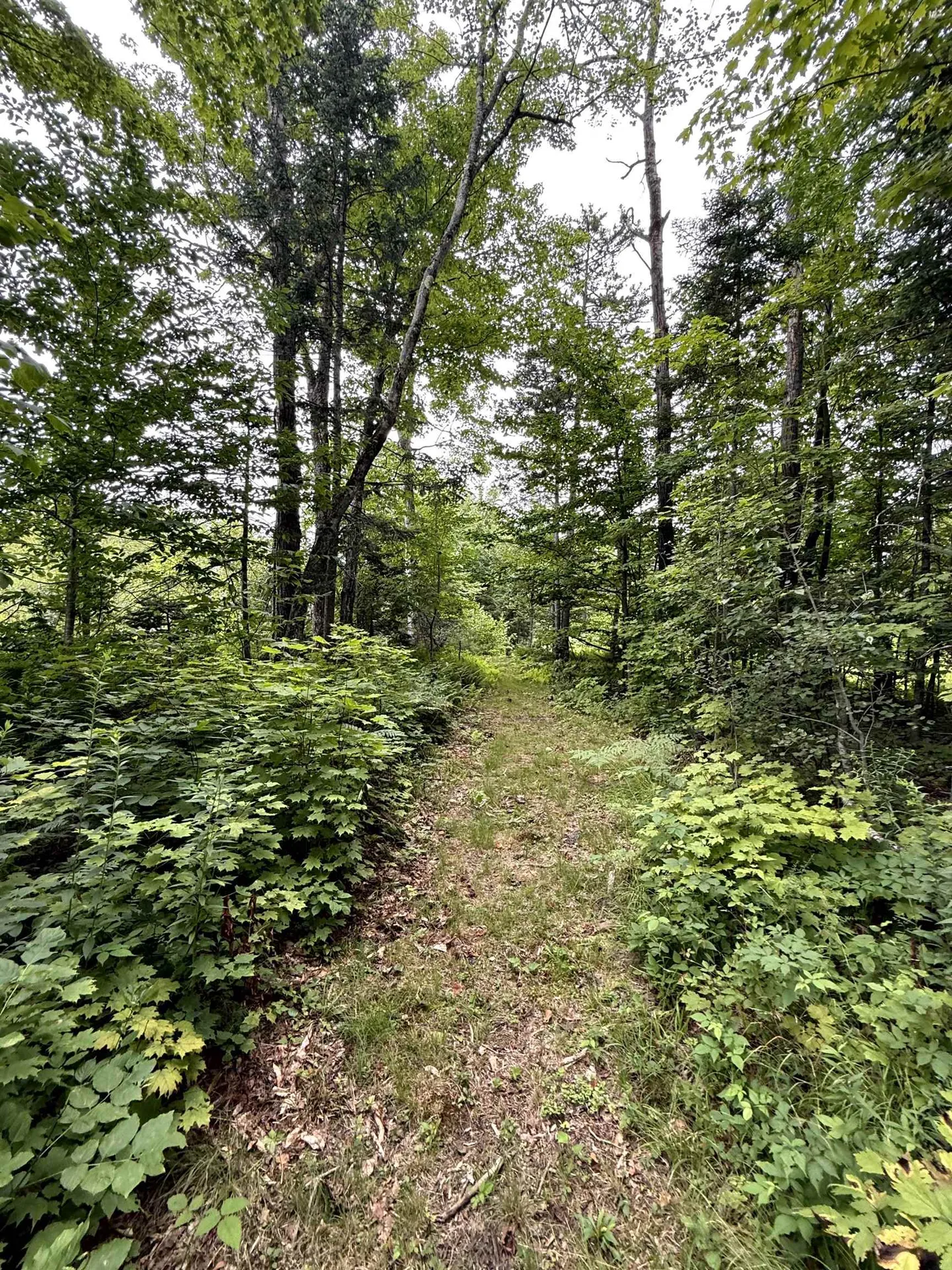 3041 Cross Road Jay VT 05859