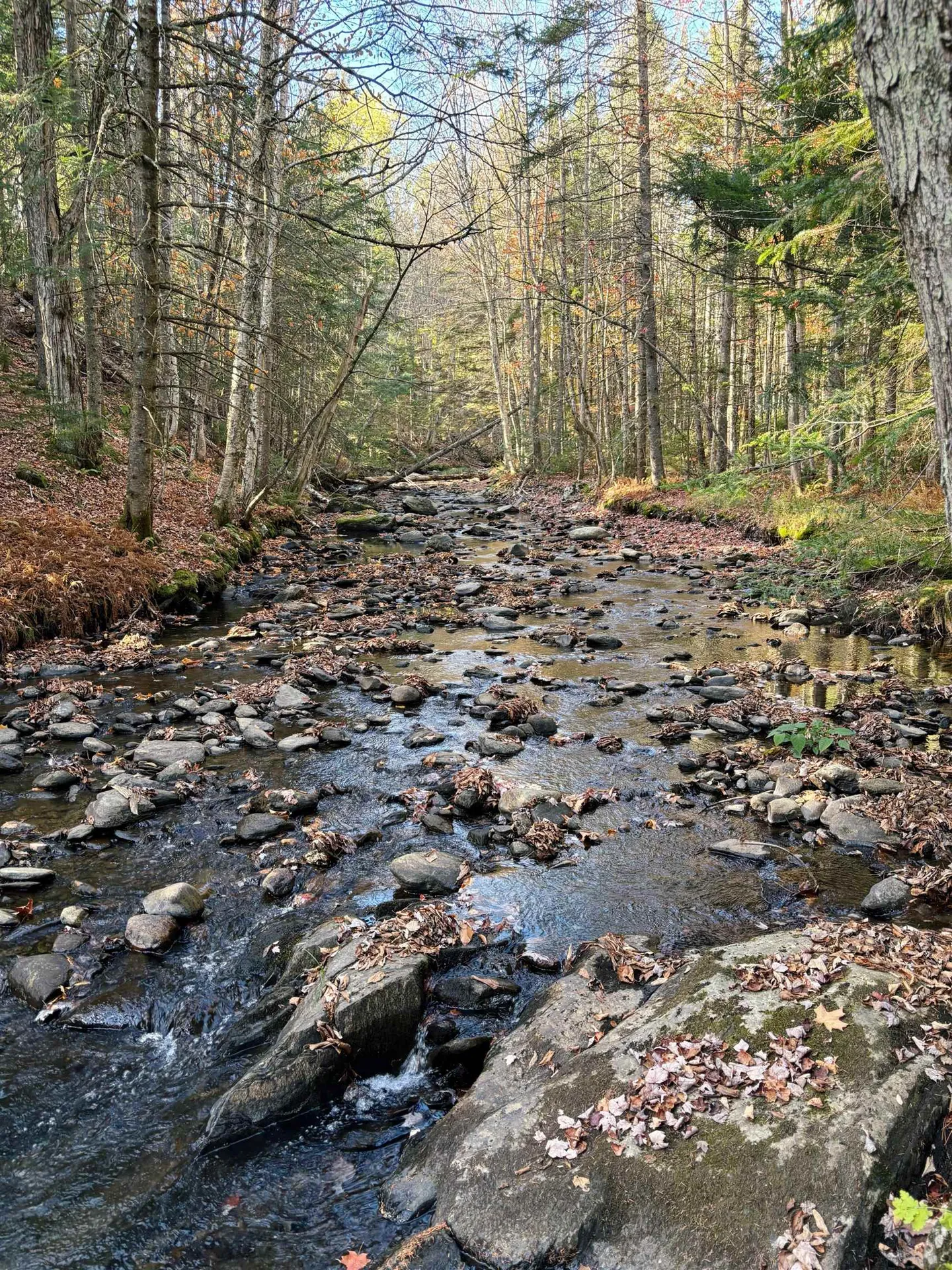 3041 Cross Road Jay VT 05859