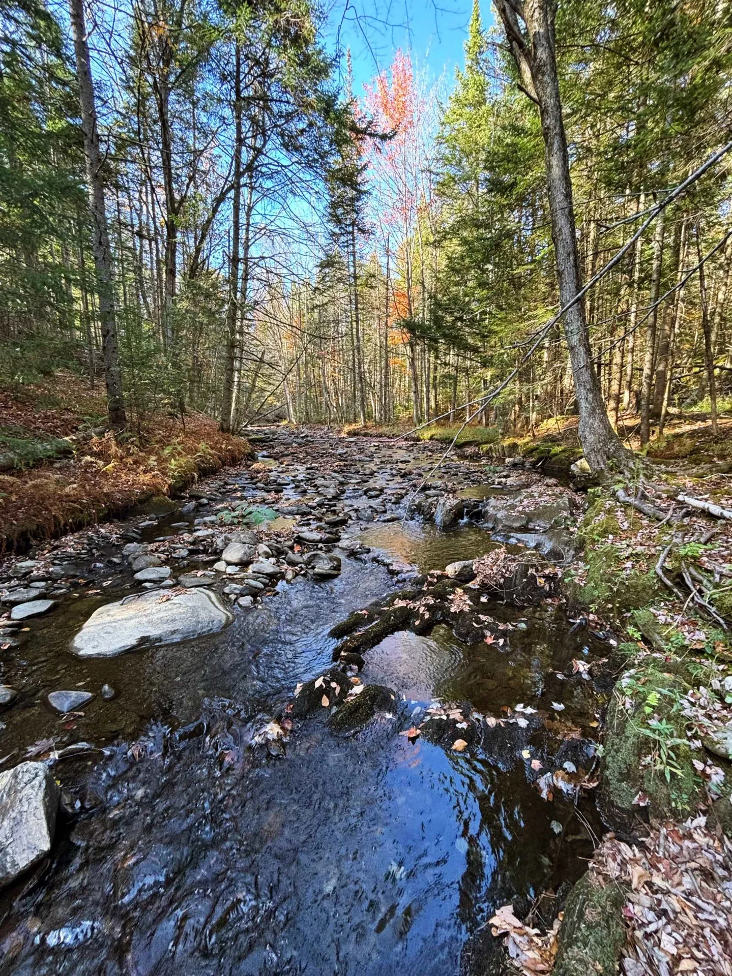 3041 Cross Road Jay VT 05859