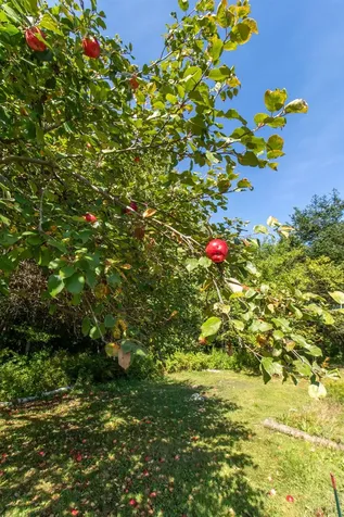 3041 Cross Road Jay VT 05859