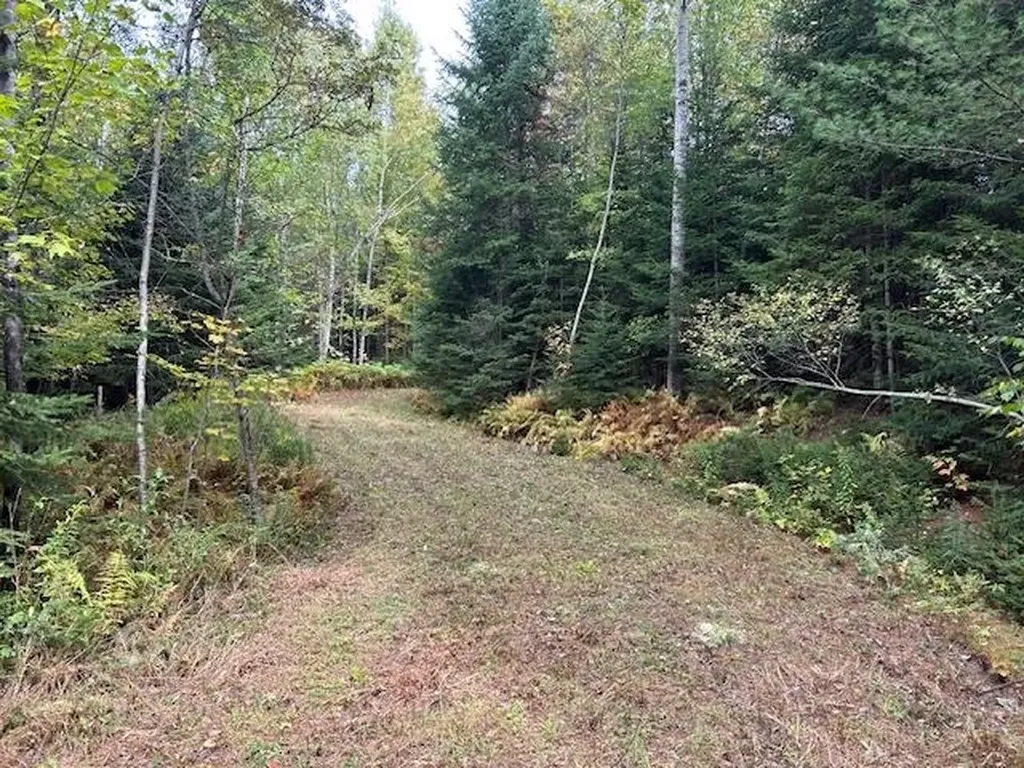 - Piper Hill Road Colebrook NH 03576