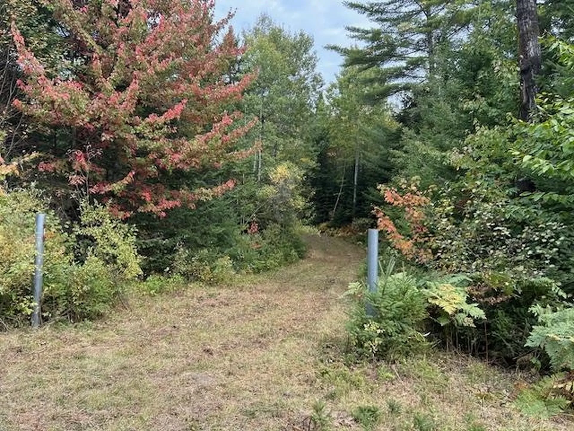 - Piper Hill Road Colebrook NH 03576