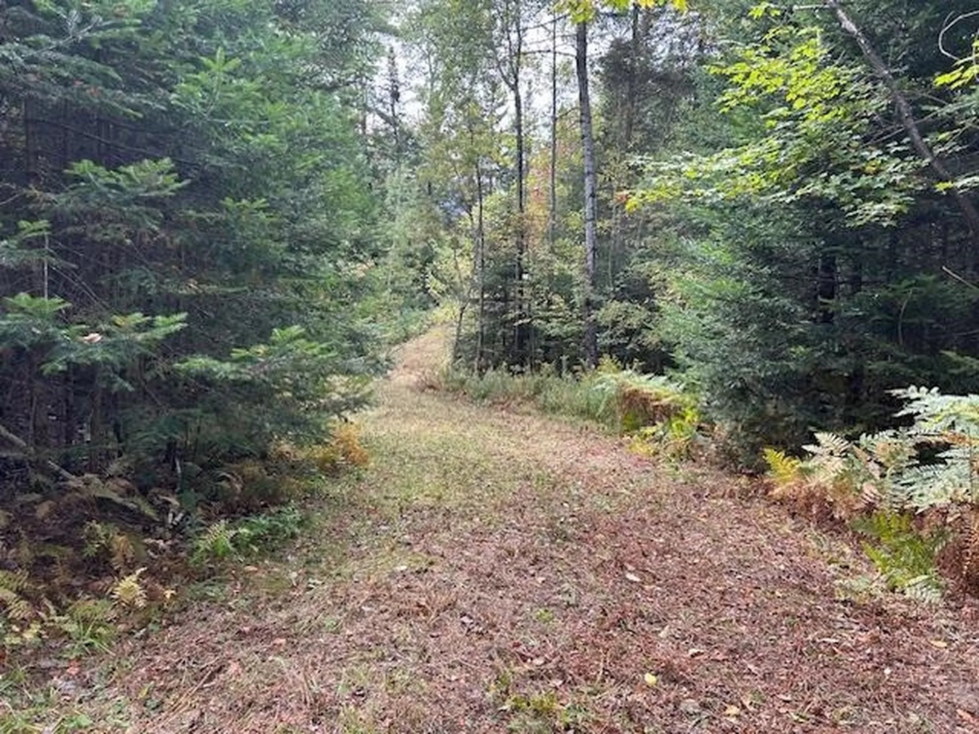 - Piper Hill Road Colebrook NH 03576