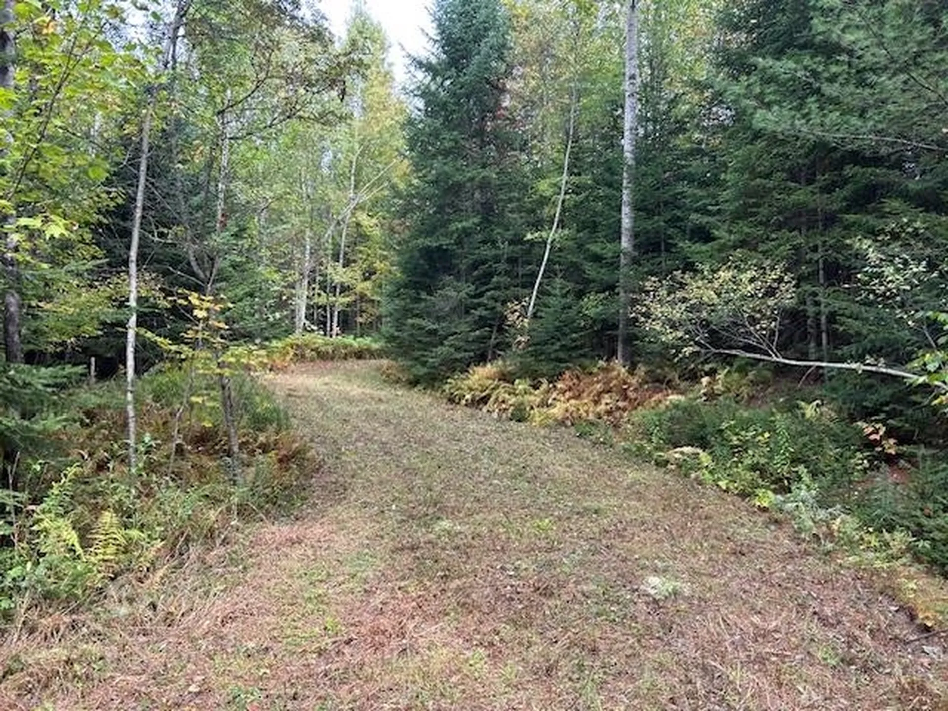 - Piper Hill Road Colebrook NH 03576
