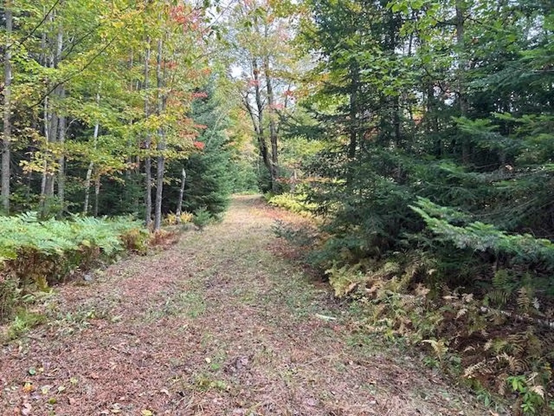 - Piper Hill Road Colebrook NH 03576