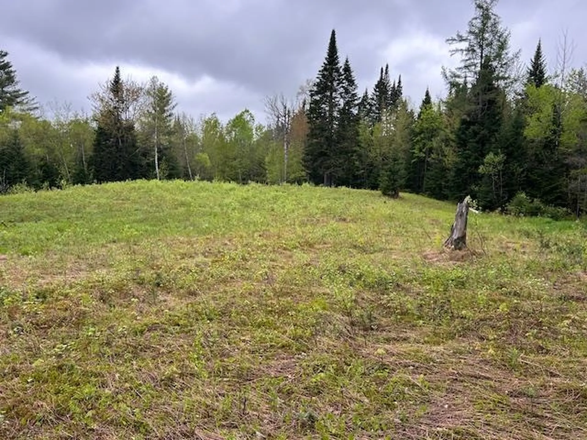 - Piper Hill Road Colebrook NH 03576