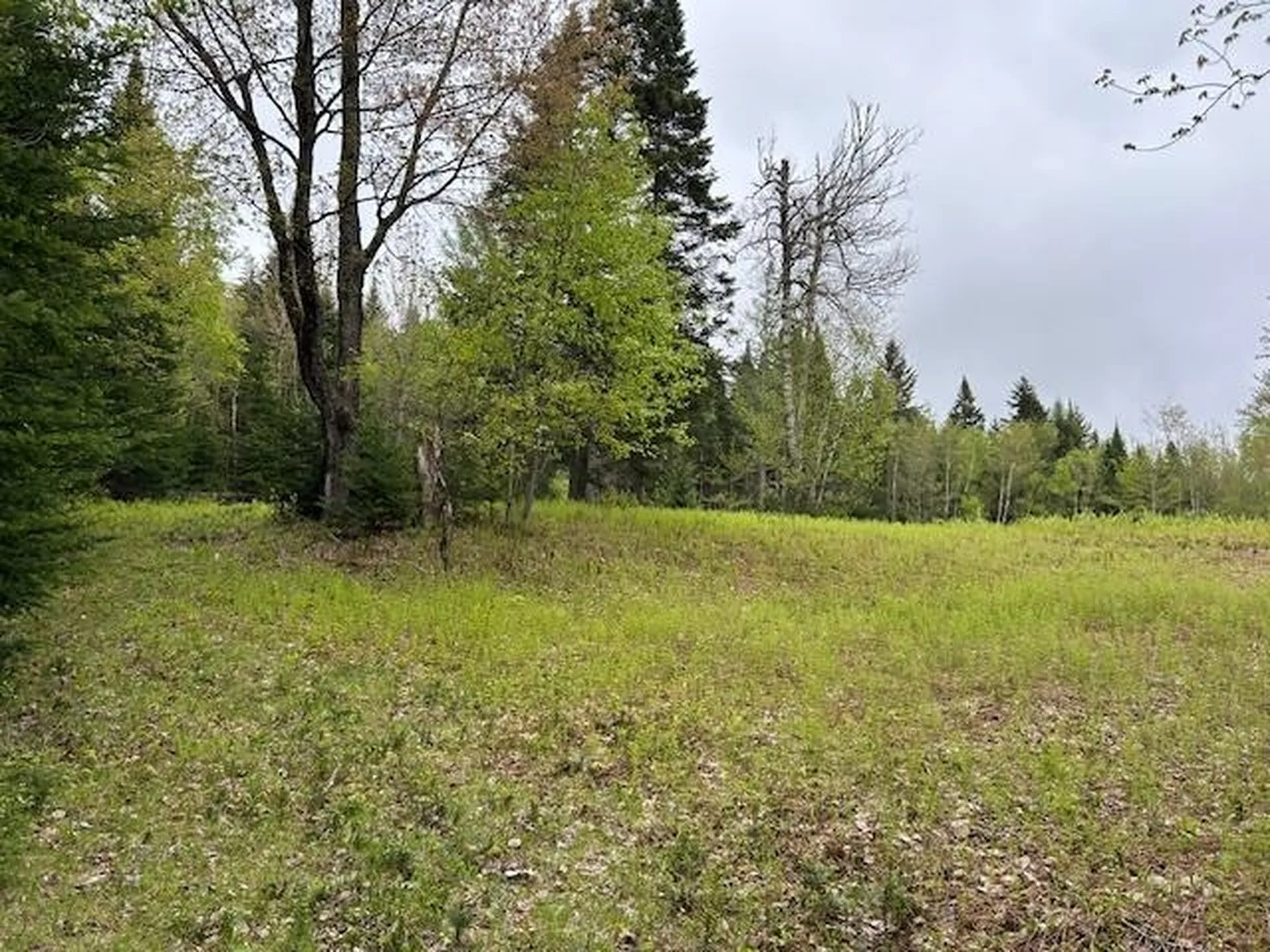 - Piper Hill Road Colebrook NH 03576