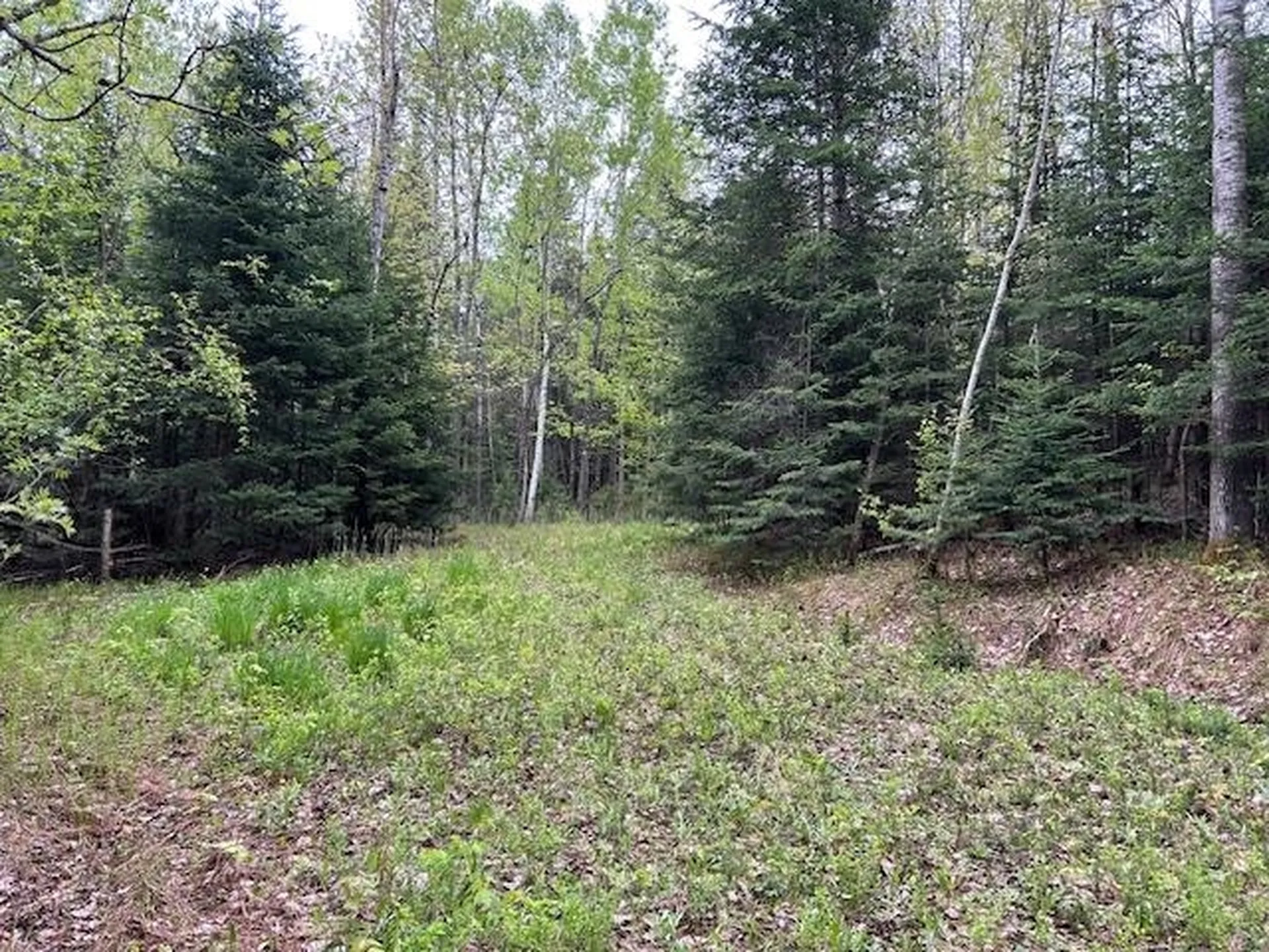 - Piper Hill Road Colebrook NH 03576