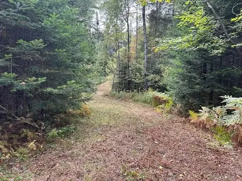 - Piper Hill Road Colebrook NH 03576