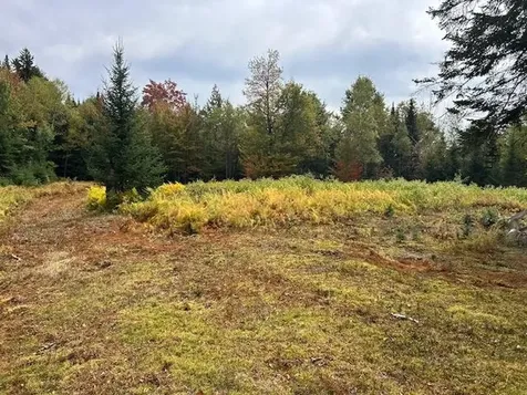 - Piper Hill Road Colebrook NH 03576