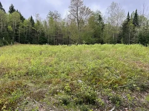 - Piper Hill Road Colebrook NH 03576