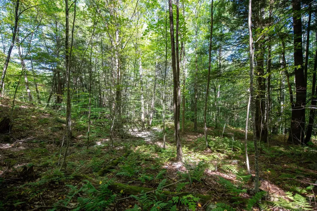 00 Remington Road Chester VT 05143