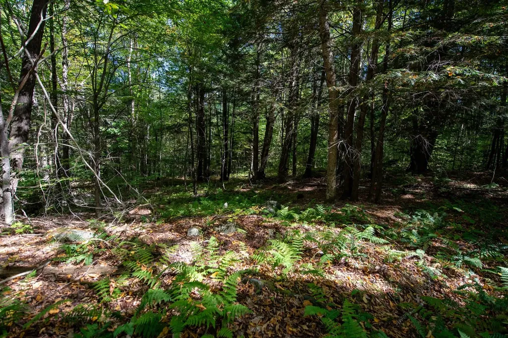 00 Remington Road Chester VT 05143