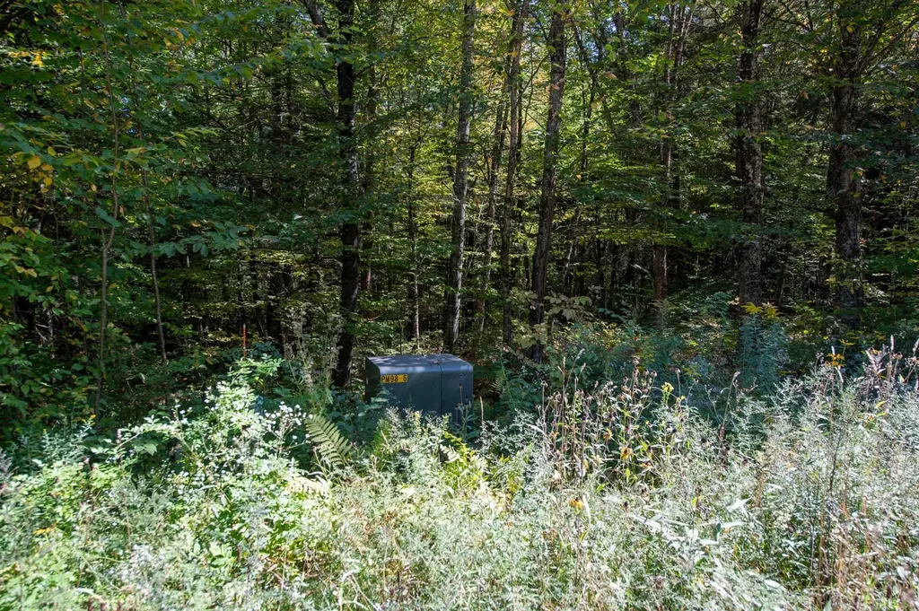 00 Remington Road Chester VT 05143