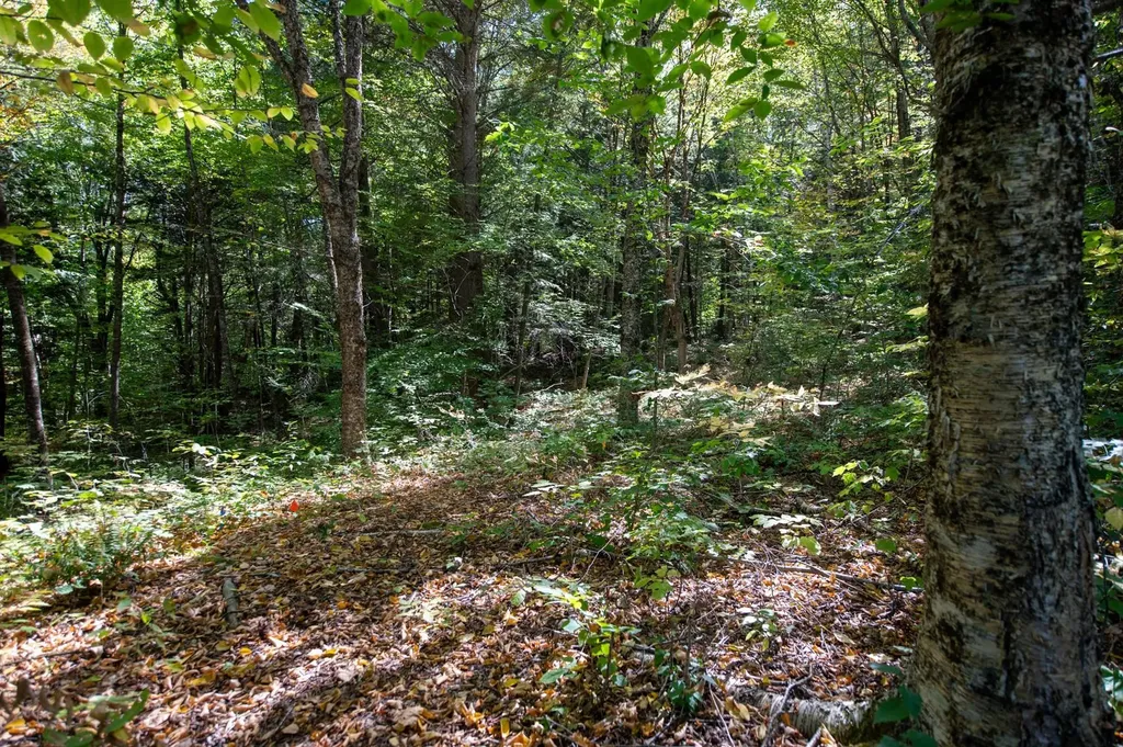 00 Remington Road Chester VT 05143