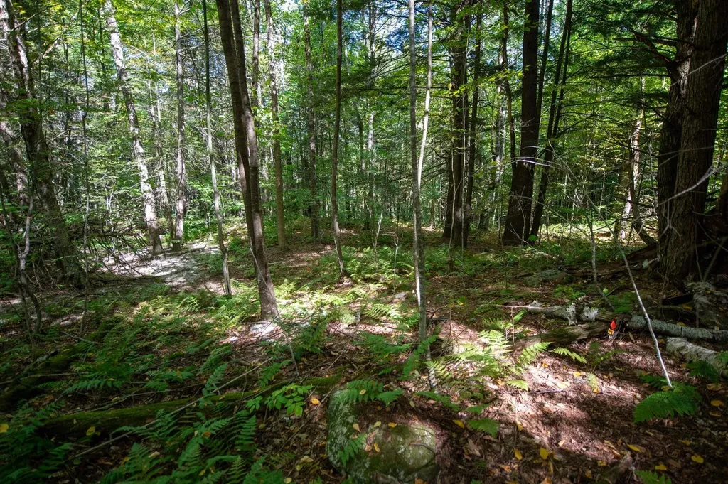 00 Remington Road Chester VT 05143