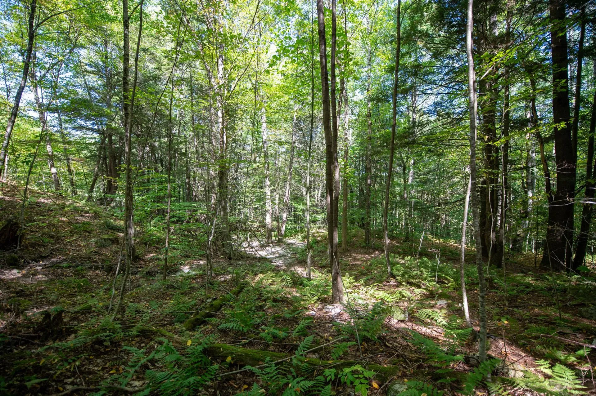 00 Remington Road Chester VT 05143