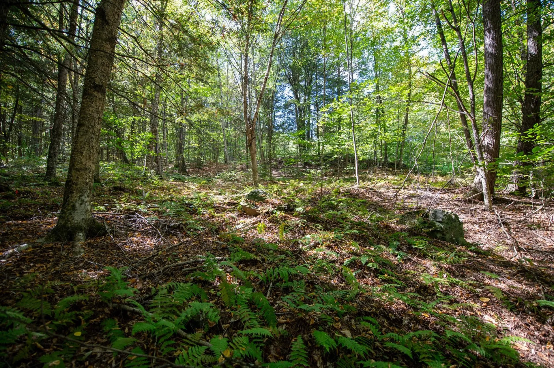 00 Remington Road Chester VT 05143