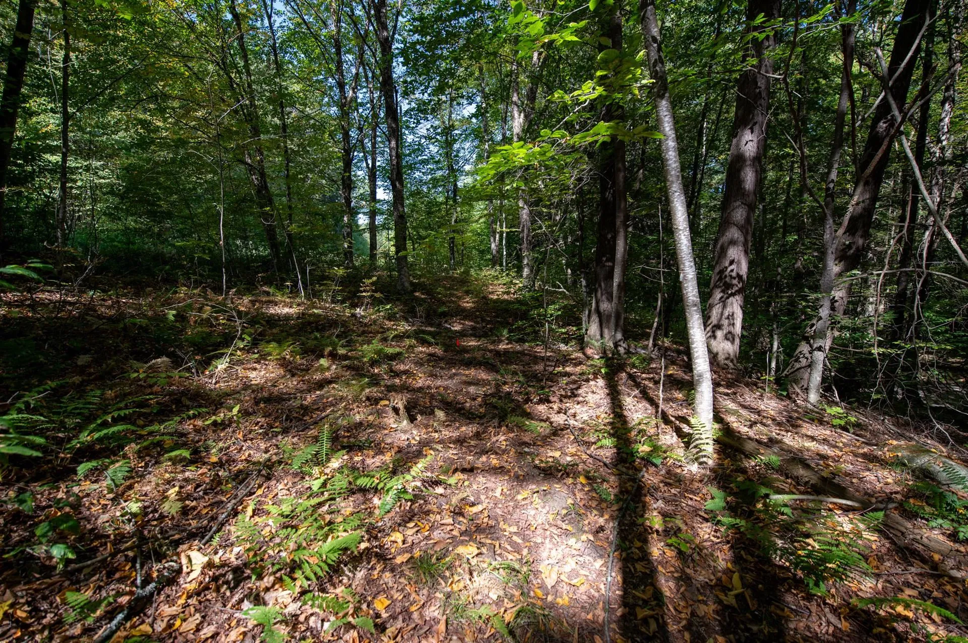 00 Remington Road Chester VT 05143