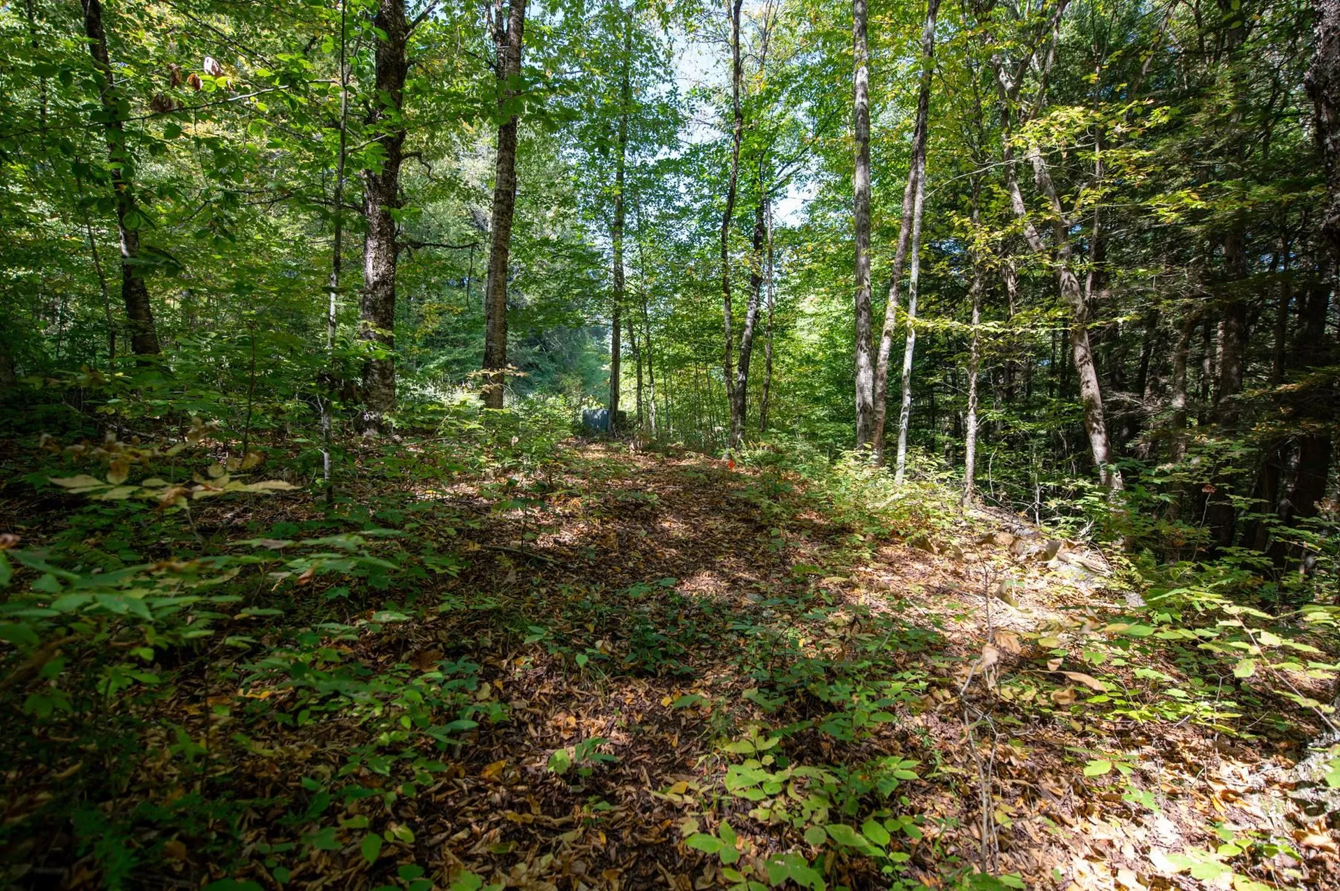 00 Remington Road Chester VT 05143