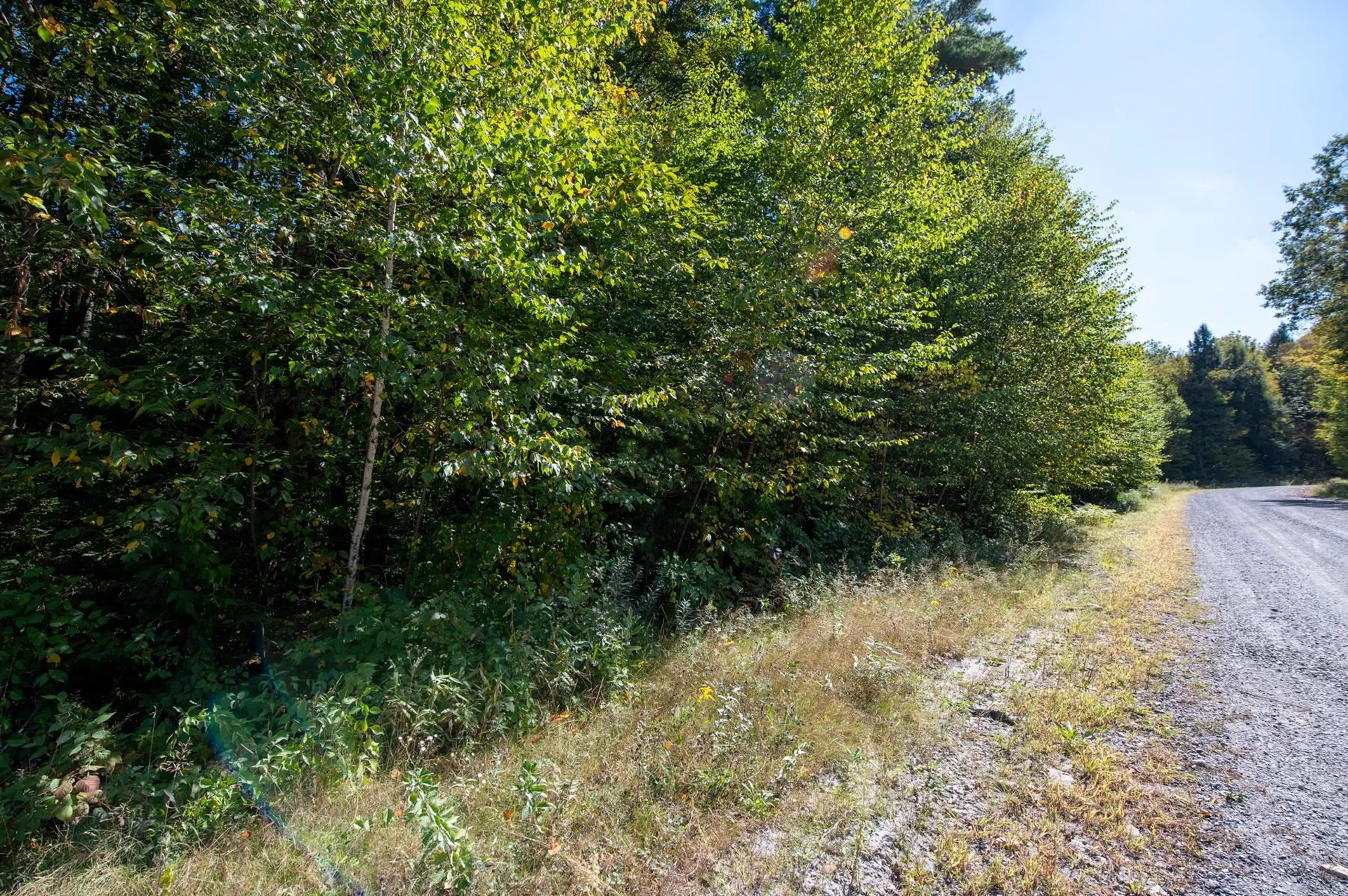 00 Remington Road Chester VT 05143