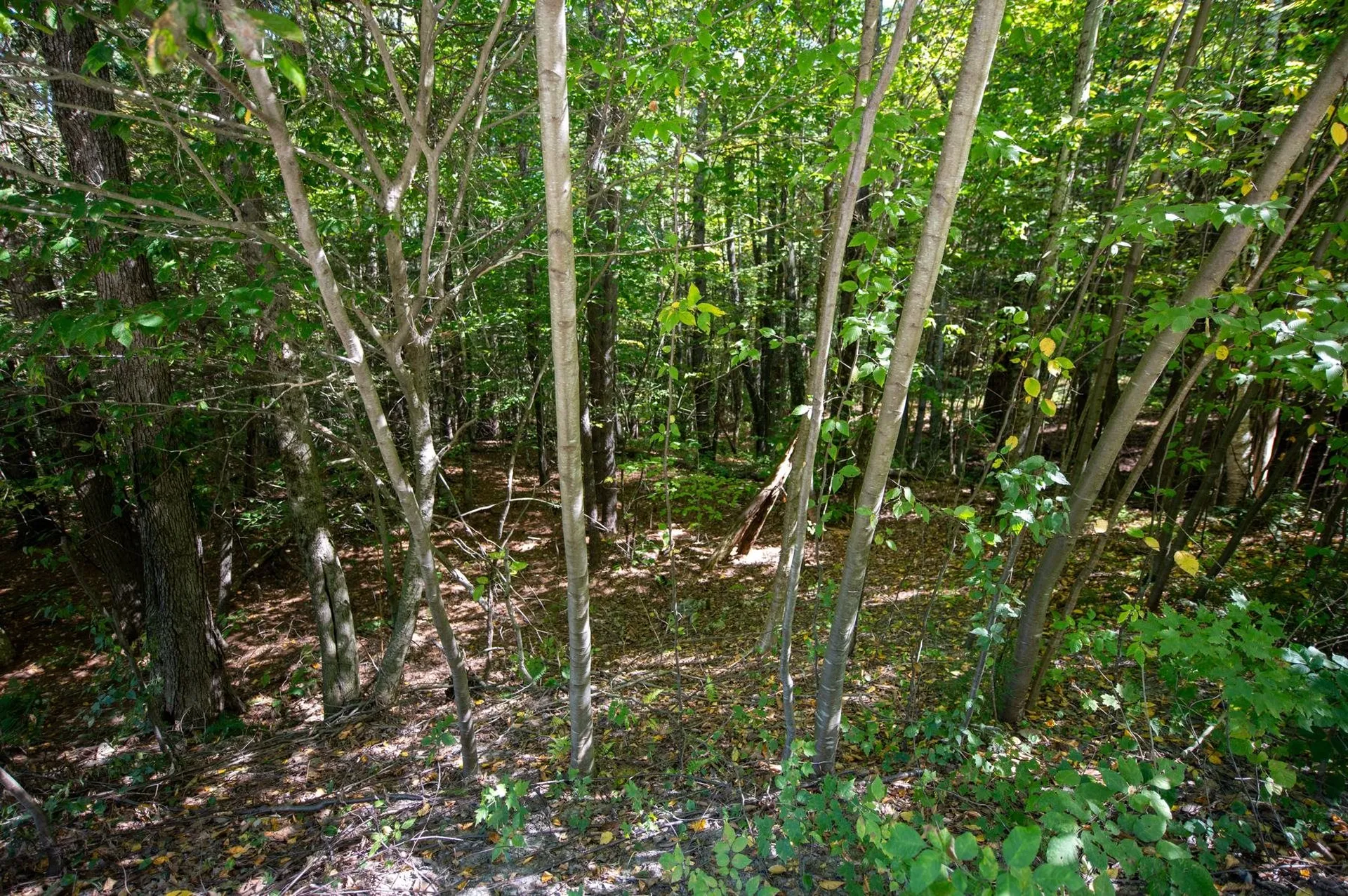 00 Remington Road Chester VT 05143