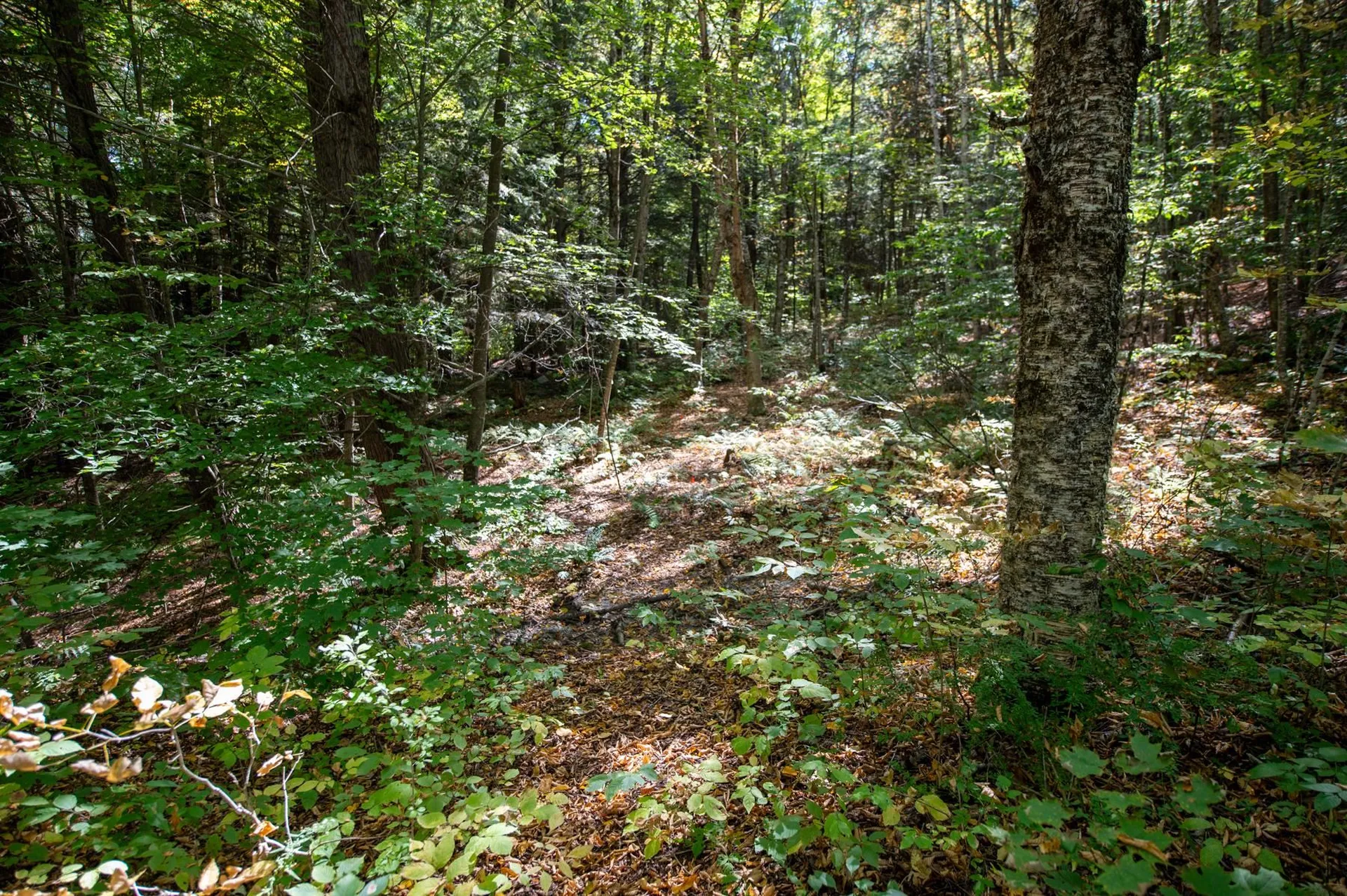 00 Remington Road Chester VT 05143