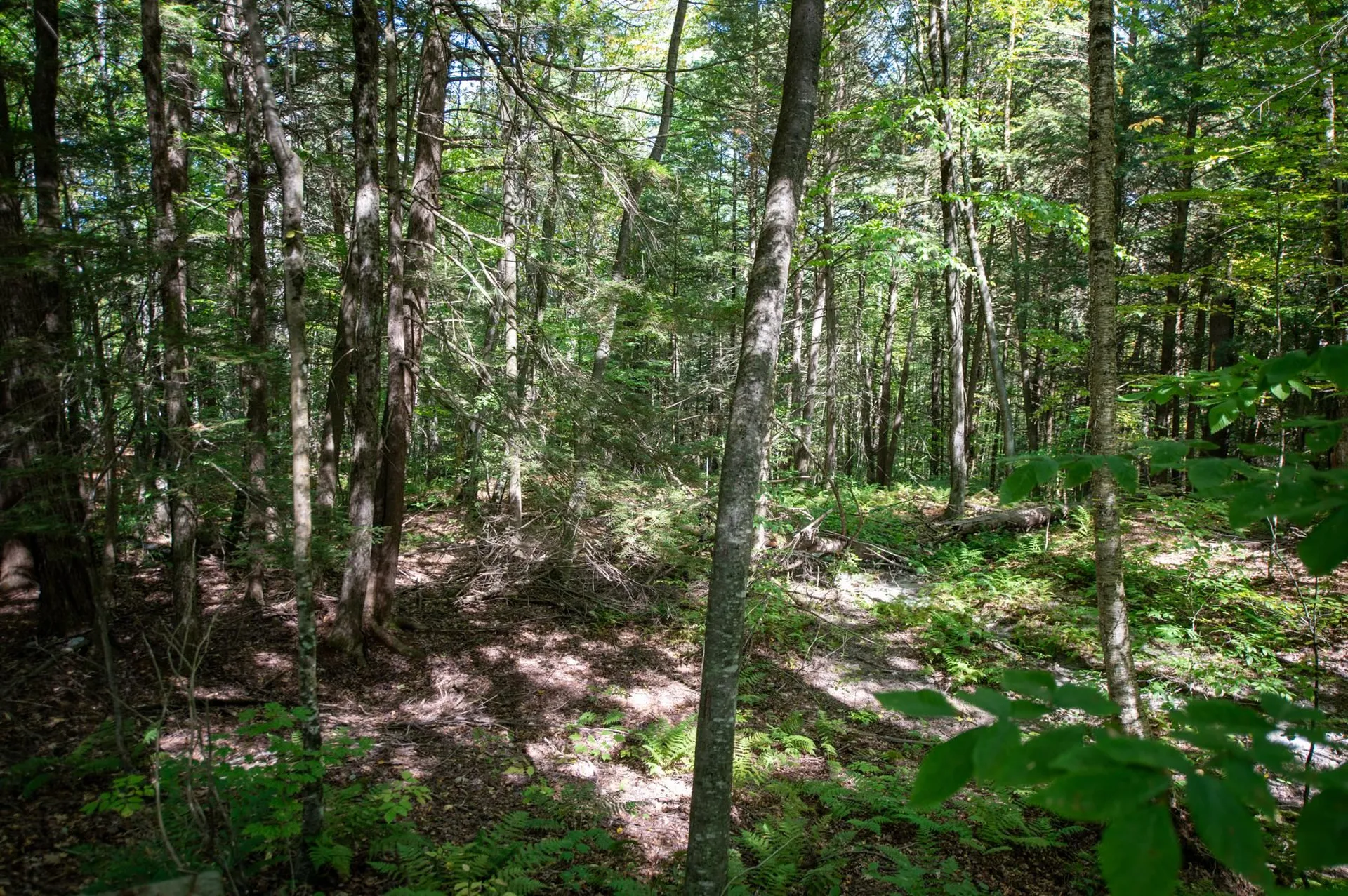 00 Remington Road Chester VT 05143