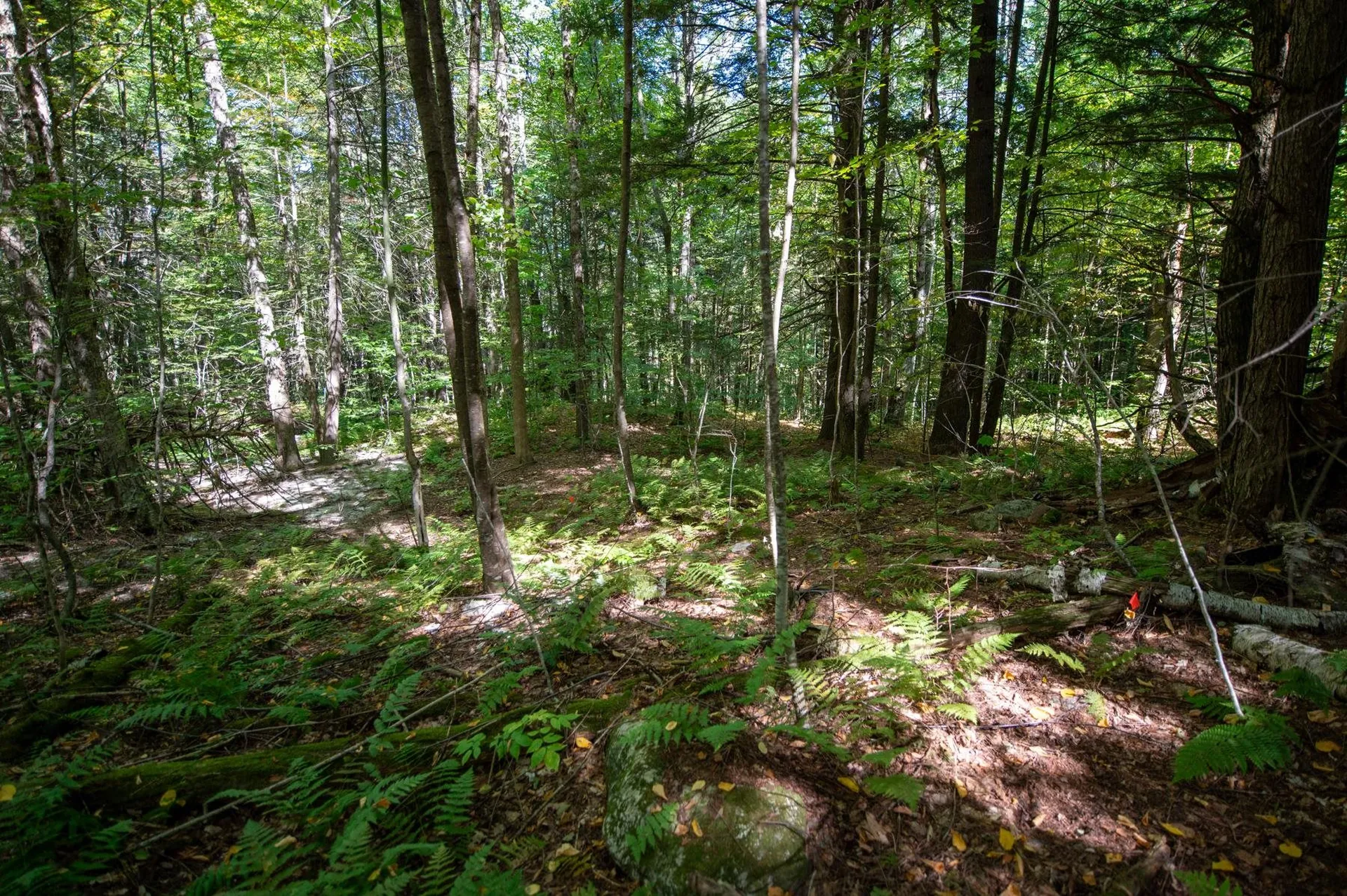 00 Remington Road Chester VT 05143