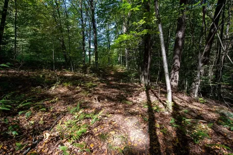 00 Remington Road Chester VT 05143