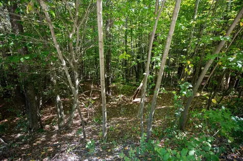 00 Remington Road Chester VT 05143