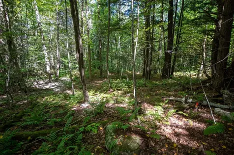 00 Remington Road Chester VT 05143