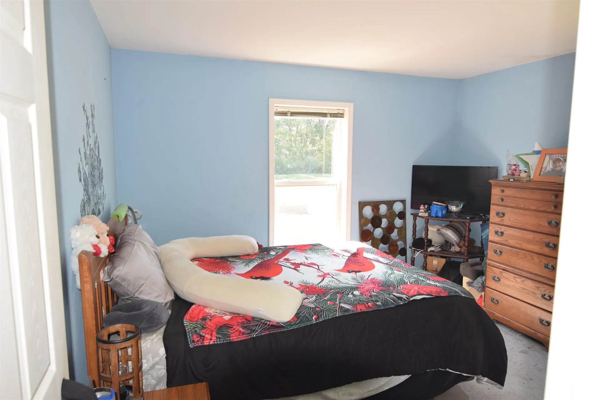 17 Meadow Road Goshen NH 03752