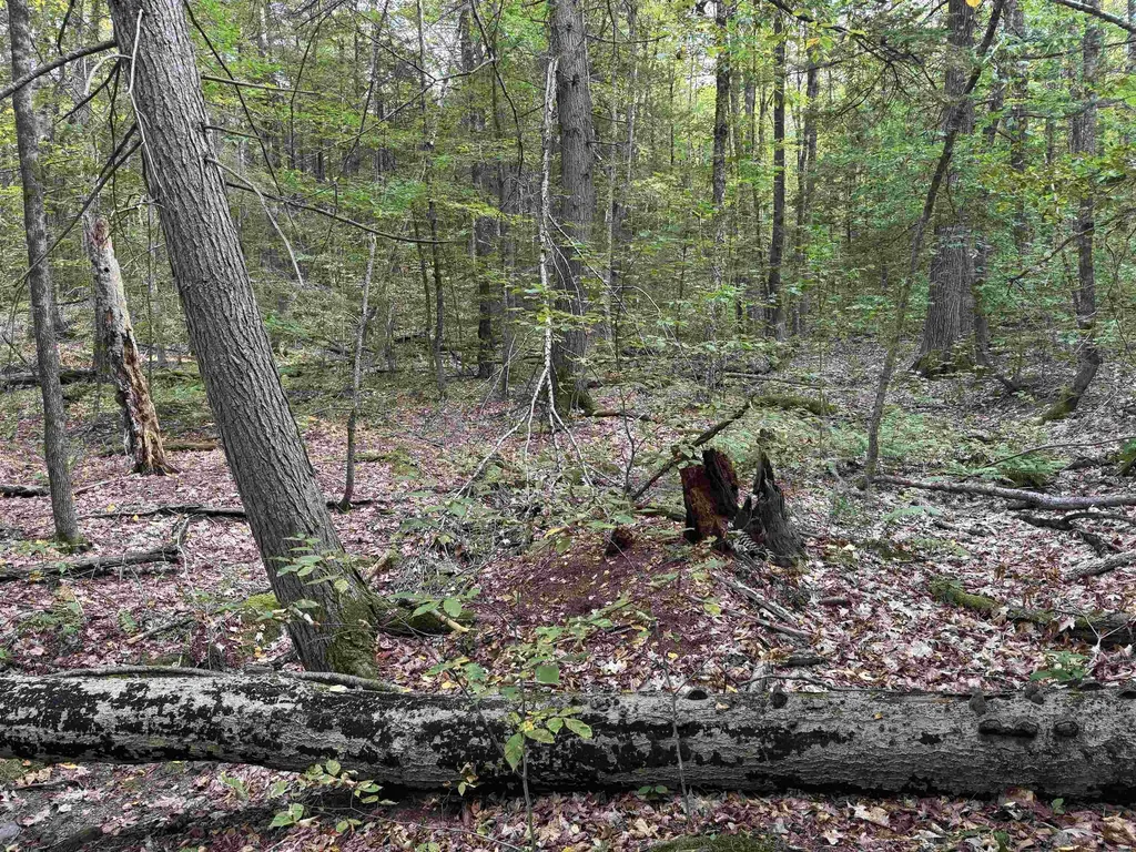 Kurn Hattin Road Westminster VT 05346