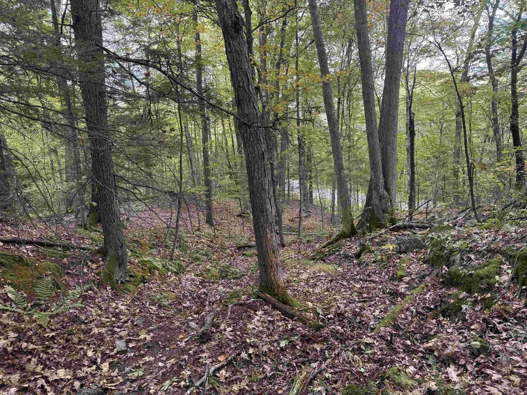 Kurn Hattin Road Westminster VT 05346