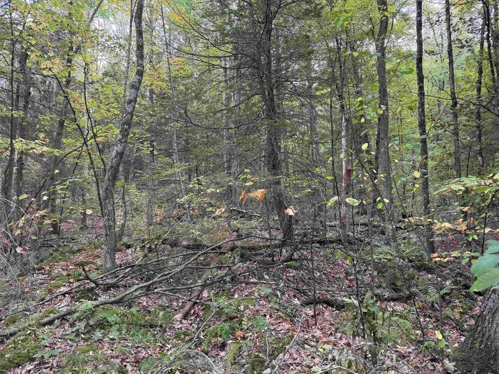 Kurn Hattin Road Westminster VT 05346