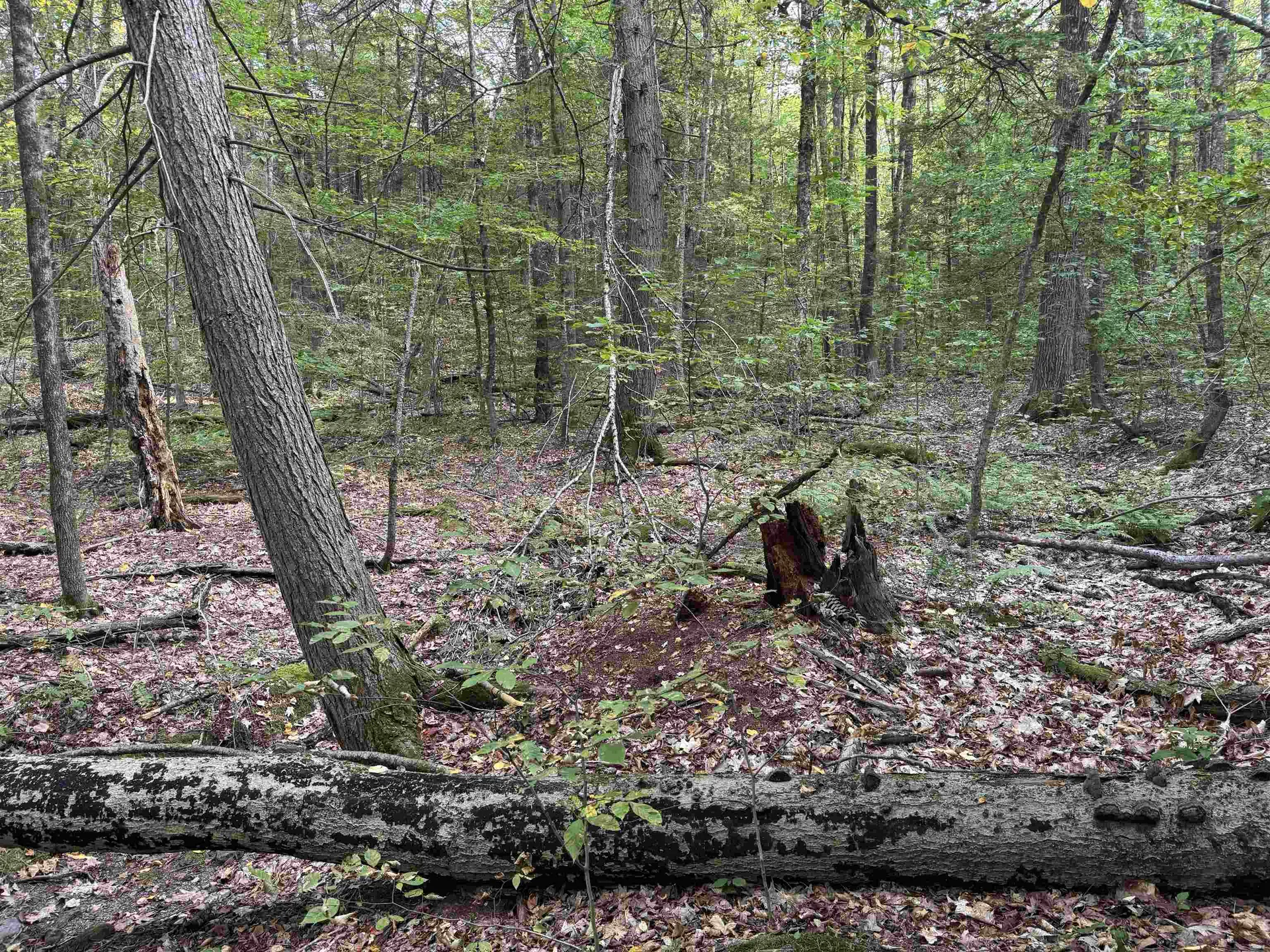 Kurn Hattin Road Westminster VT 05346