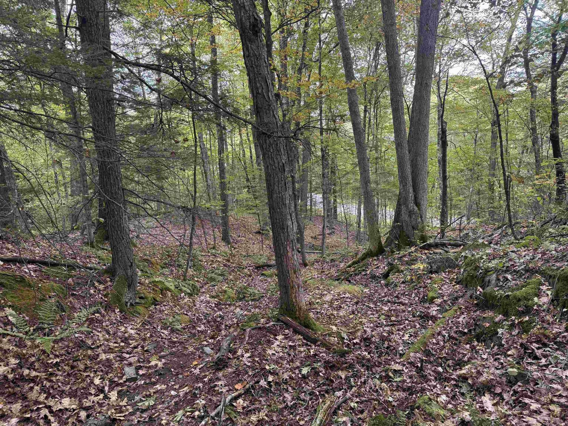 Kurn Hattin Road Westminster VT 05346